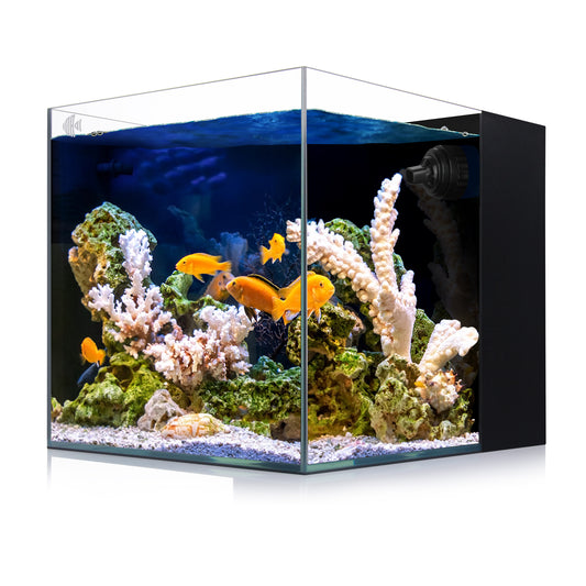 Coralland 8-Gallon Saltwater Aquarium - Ultra Clear Low Iron Glass, 45° Angled Joint Design, Crystal Clear Viewing, Perfect for Marine Fish & Reef Tanks & Freshwater