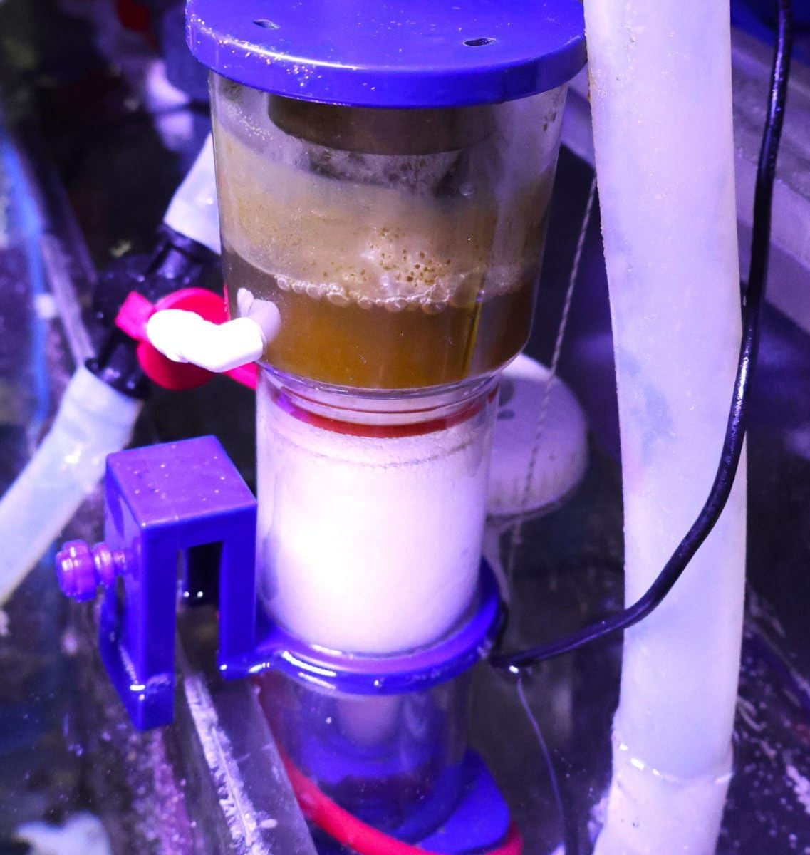 Protein Skimmer for Saltwater Aquariums, DC Pinwheel Pump for 50 Gals Fish Tank, Hang On, Internal, Not for Rimmed Tank