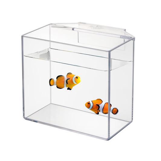 Drip Acclimation Container for Fish & Corals – Hanging Acclimation Box for Saltwater & Freshwater Aquariums