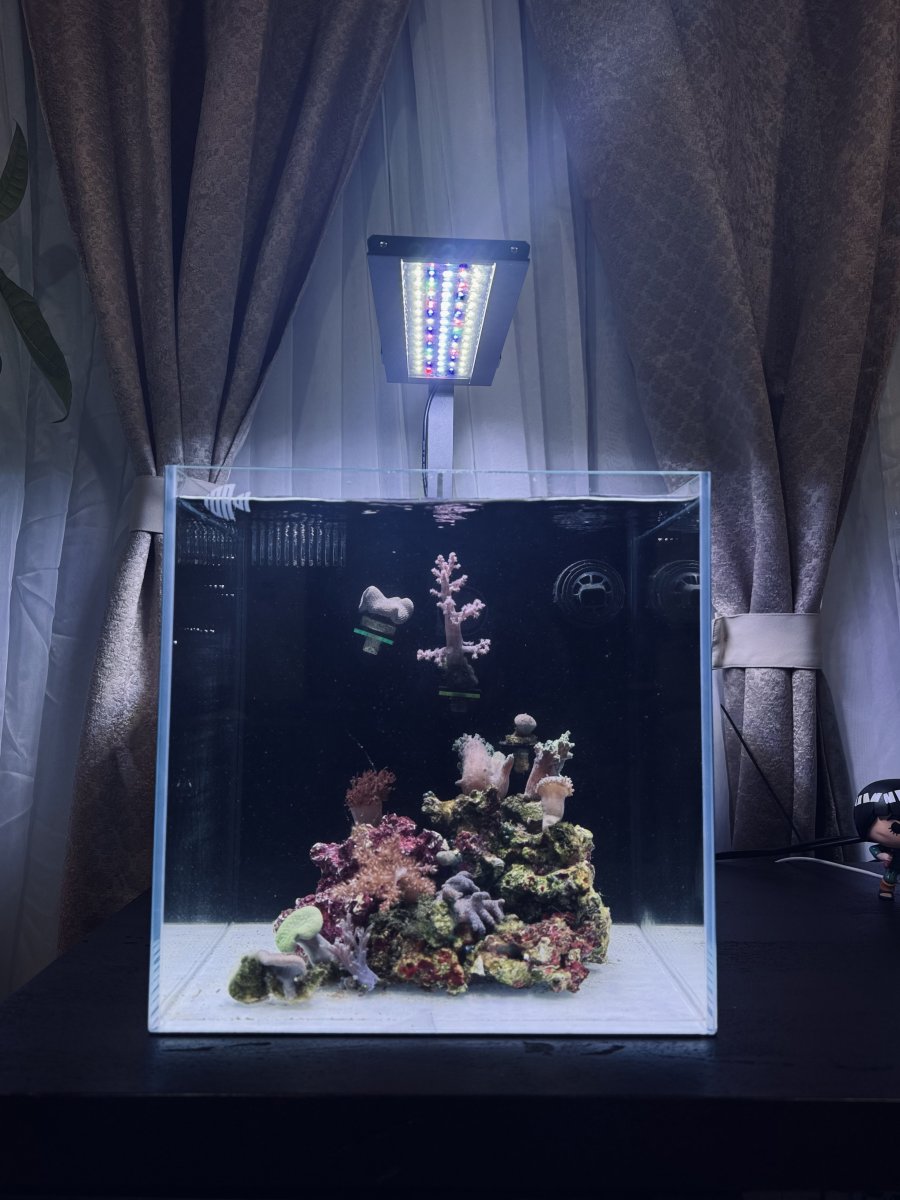 LED Aquarium Light for 12-20 Inch Tanks, Full Spectrum Fish Tank Light with 24/7 Sunrise Sunset & Moonlight Mode, Adjustable Brightness & Timer, for Freshwater/Planted/Saltwater Aquarium, 18 watts