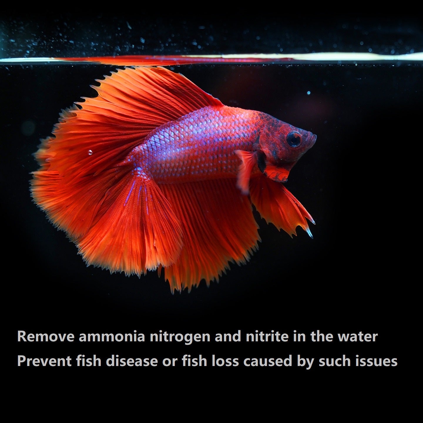 PuriResin Aquarium Filter Media, Organic Filtration Resin, for Freshwater and Saltwater Fish Tank, Removes Driftwood Tannins, 100 ml, 5 Packs